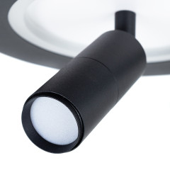 Спот Arte Lamp Tommy A2607AP-20BK