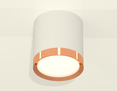 Потолочный светильник Ambrella Light Techno Spot XS8141005 (C8141, N8126)
