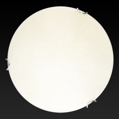 Настенно-потолочный светодиодный светильник Toplight Jane TL9641Y-00WH