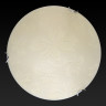Настенно-потолочный светодиодный светильник Toplight Jane TL9641Y-00WH
