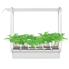 Светодиодный светильник для растений Uniel Minigarden (UL-00007471) ULT-P34-10W/SPBR IP20 White 12