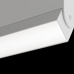 Трековый светильник Maytoni Technical BASIS TR013-2-10W3K-W