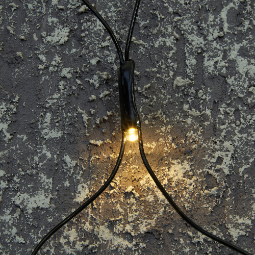 Светодиодная гирлянда Feron CL42 48635