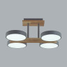 Потолочный светильник Lumion Plato 8031/72CL