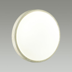 Настенно-потолочный светильник Sonex Losta 7628/AL