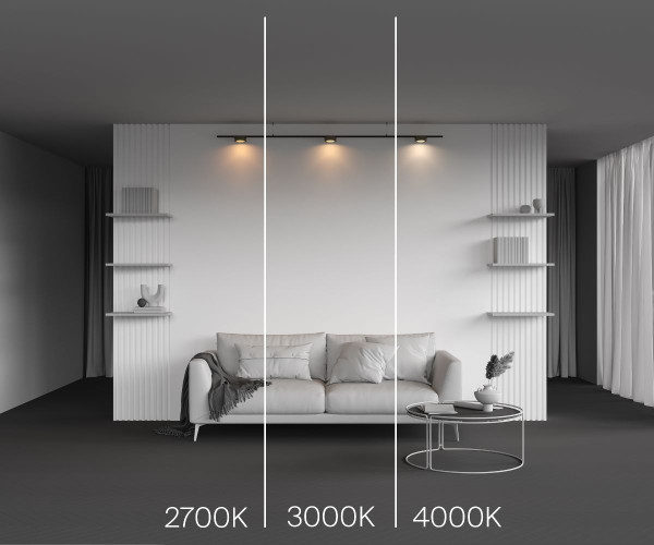 Трековый магнитный светильник Maytoni Zon TR189-1-12W4K-BBS