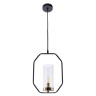 Подвесной светильник Arte Lamp Celaeno A7004SP-1BK