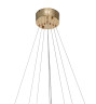 Подвесная люстра Zortes Auralia ZRS.57790.141
