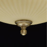 Потолочный светильник MW-Light Афродита 317011202