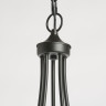 Подвесная люстра MW-Light Альгеро 285012405