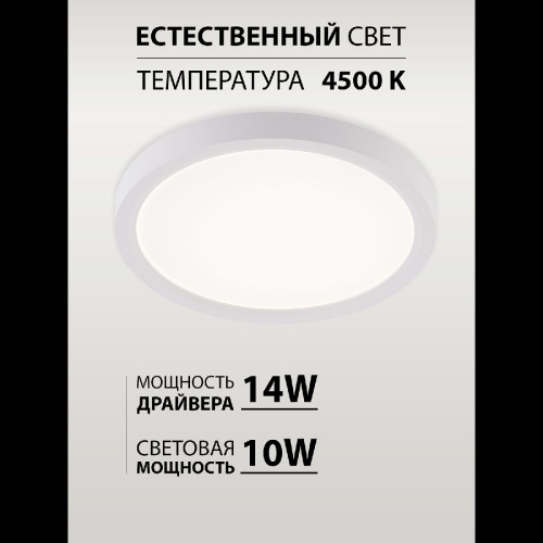 Потолочный светильник Natali Kovaltseva Plain LED LAMPS 81113/1C