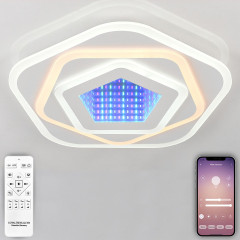 Потолочный светильник Natali Kovaltseva LED 81033/5C