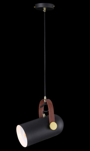 Подвесной светильник Natali Kovaltseva LOFT LUX 77033-1P BLACK