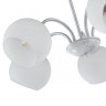 Подвесная люстра Arte Milano Amalfi 335010/5 WT+SL
