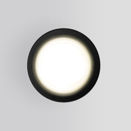 Уличный потолочный светильник Elektrostandard Light 4690389175916