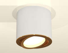 Накладной поворотный светильник Ambrella Light Techno XS7401004 (C7401, N7004)