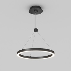 Подвесной светильник Arlight SP-CONGO-CAN-1-R400-24W Day4000 (BK, 120 deg, 230V) 046222